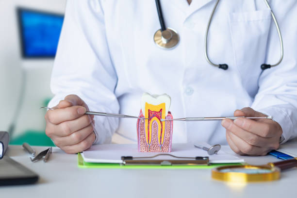 Best Emergency Dental Care for Broken or Chipped Teeth in White Sulphur Springs, WV